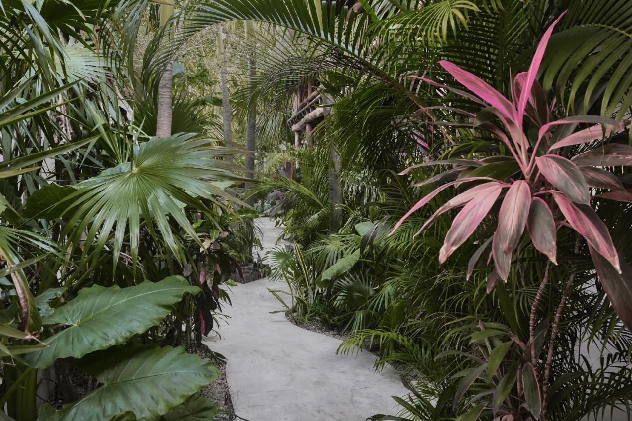 Hotel Boutique Terranova Tulum