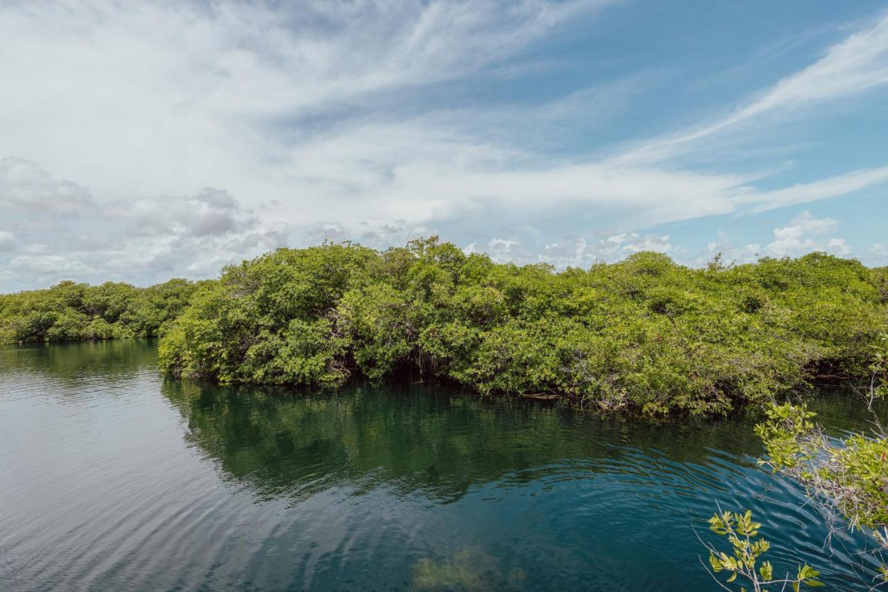 Yaxchen Cabañas&cenote Lodge *