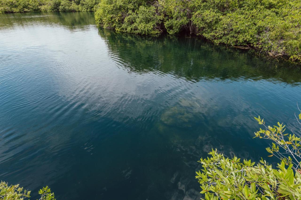 Lodge Yaxchen Cabañas&cenote *