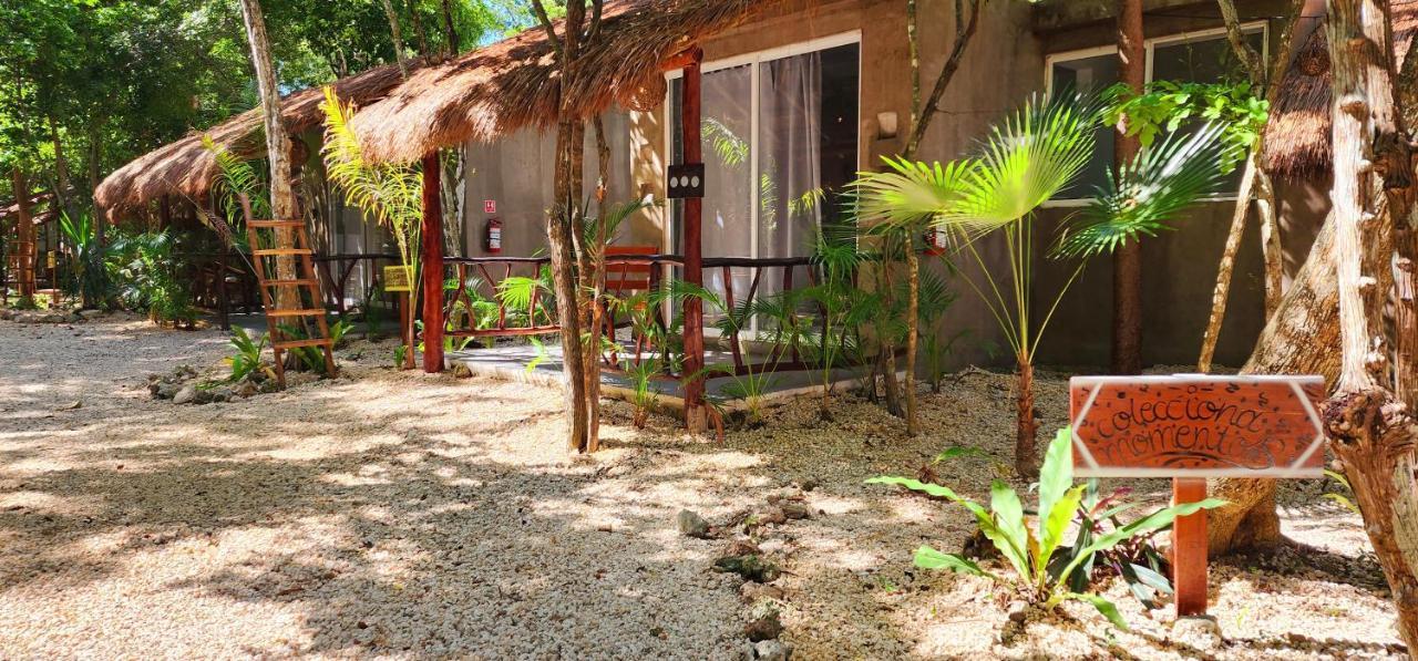 Kin Jungle Deluxe Pensión Tulum