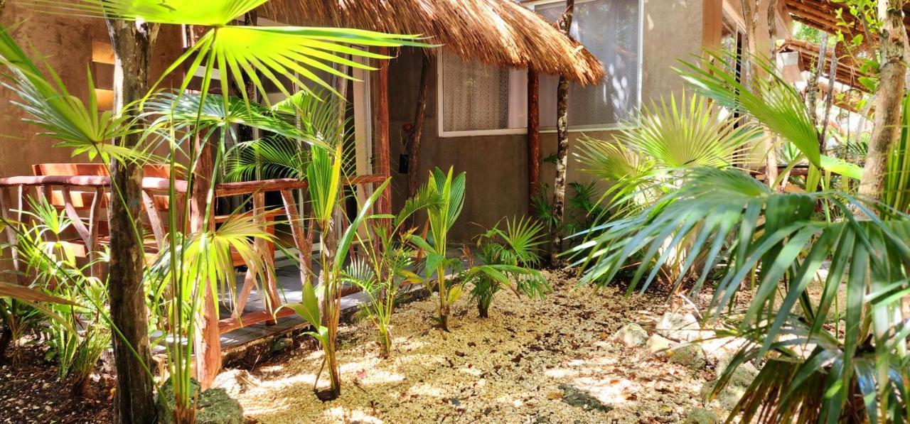 Kin Jungle Deluxe 4* Tulum