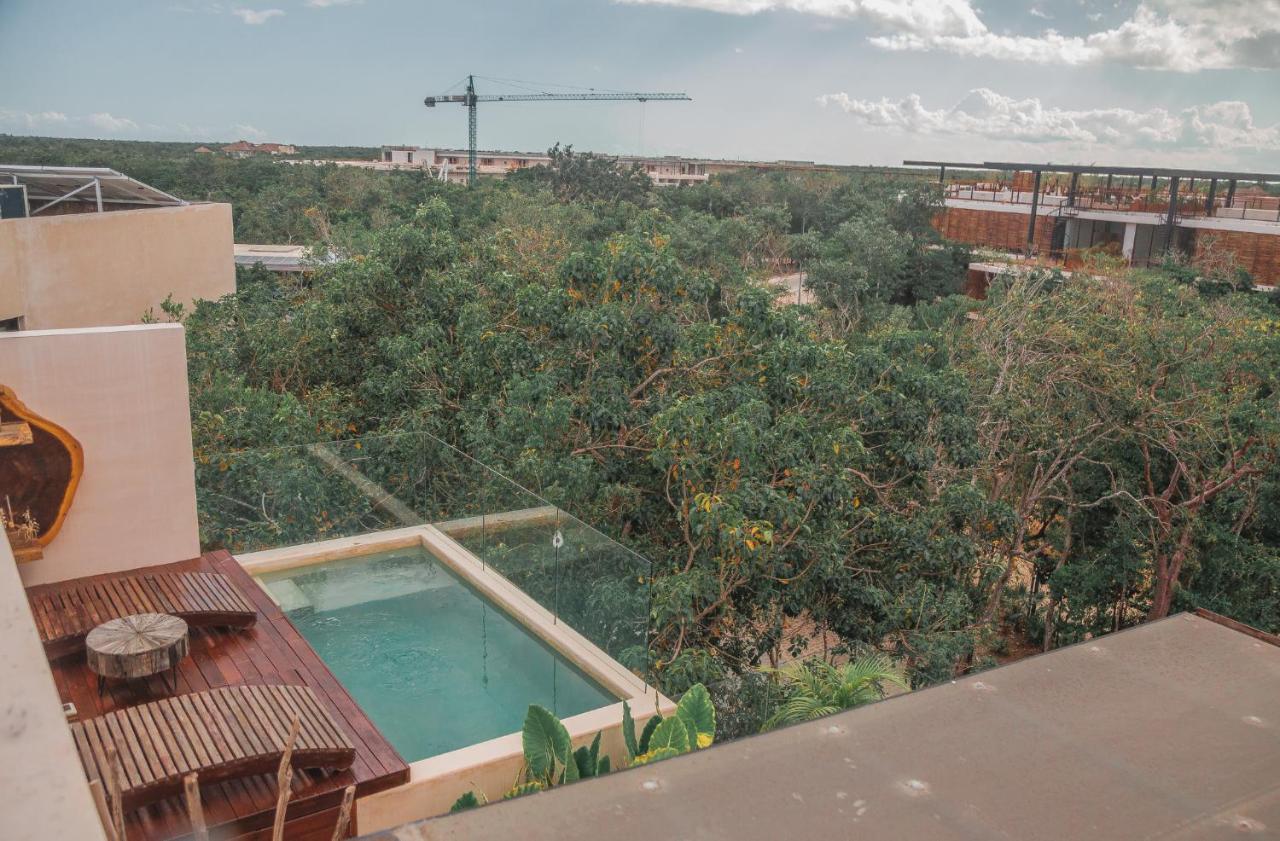 Stylish & Luxury Penthouse & Apartment, Private Pool, Private Hot Tub, Terrace And Roof At Jungle Apartment