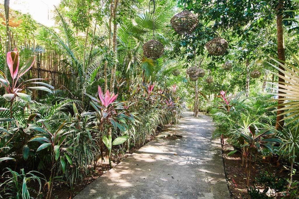 Nuuch Classy Ph W/ Private Pool/rooftop, Aldea Zama *