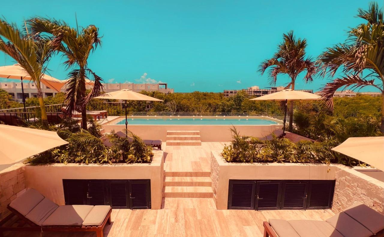 Hotel Focus *
