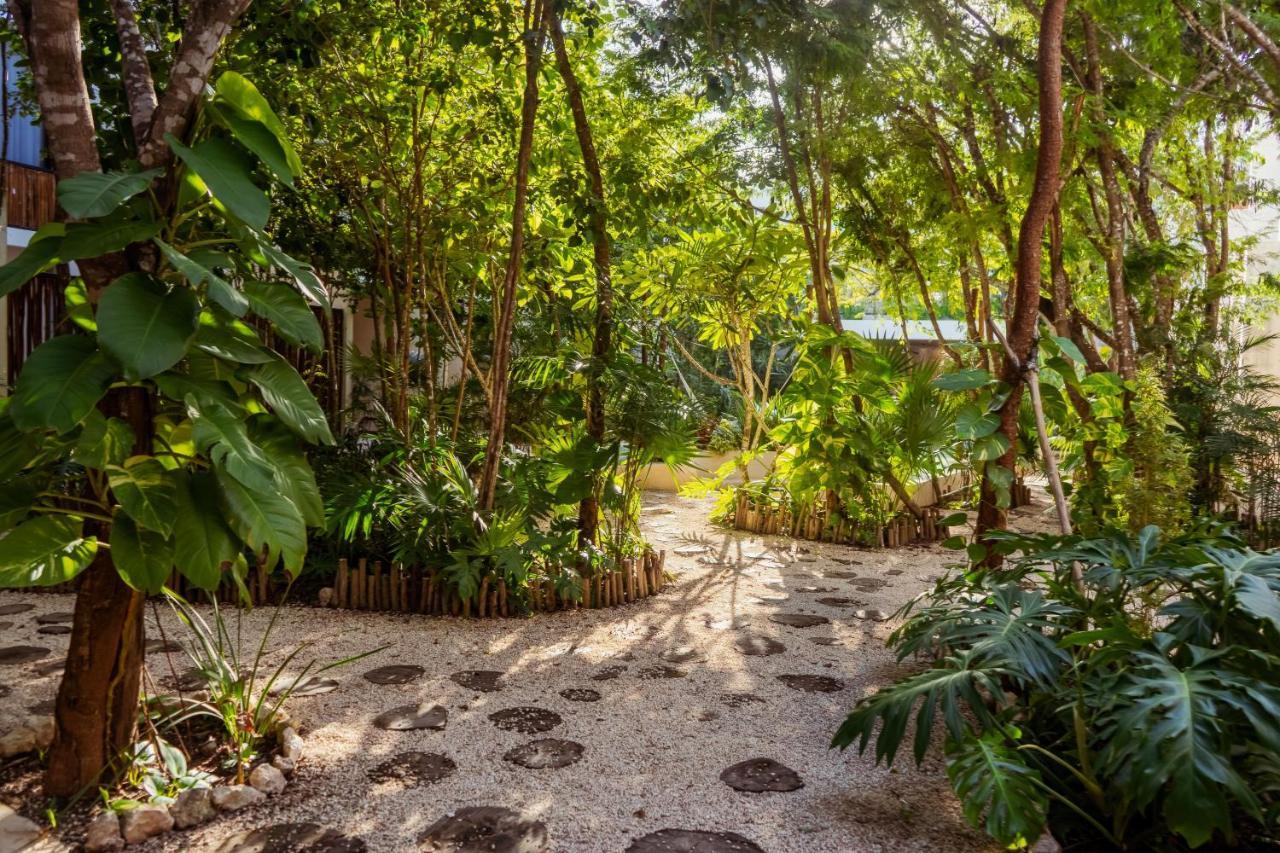 3br The Pearl Of La Veleta Rf Pool Hammock Quiet Apartamento Tulum