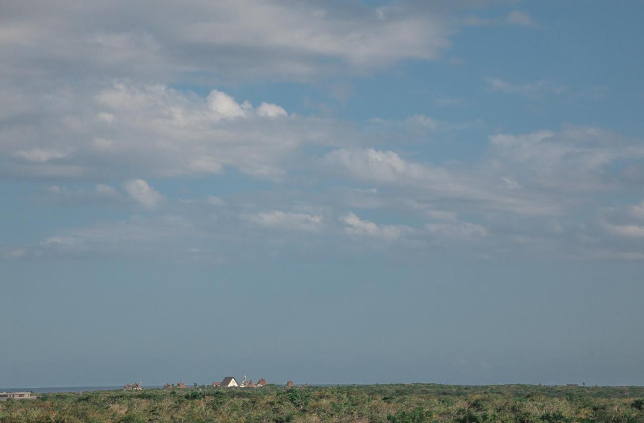 Stylish & Luxury Penthouse & Apartment, Private Pool, Private Hot Tub, Terrace And Roof At Jungle Apartment *