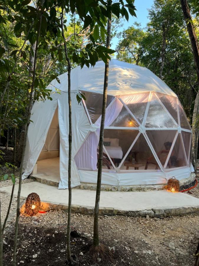 Luxury tent Glamping Mayan Glam