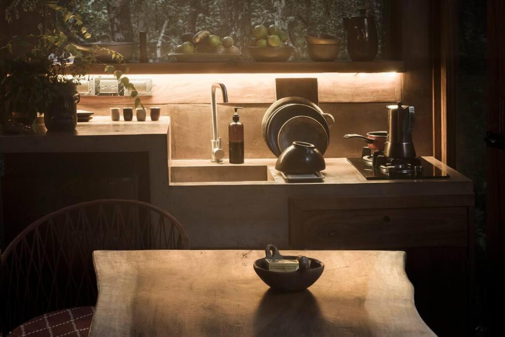 Ojo De Agua. Design+pool. Vive La Autentica Selva! Holiday home