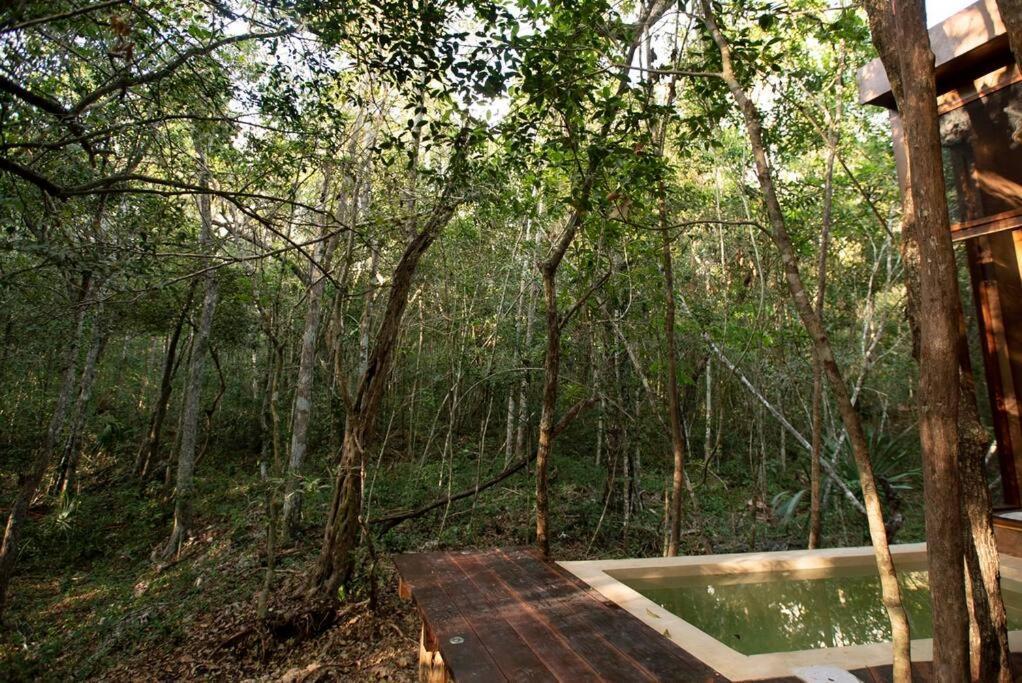 Ojo De Agua. Design+pool. Vive La Autentica Selva! Tulum