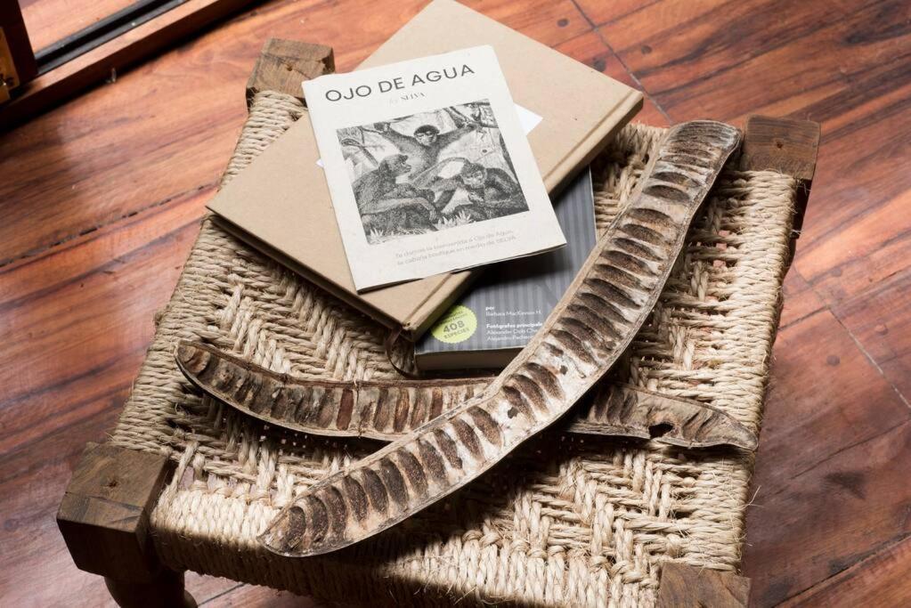 Ojo De Agua. Design+pool. Vive La Autentica Selva!