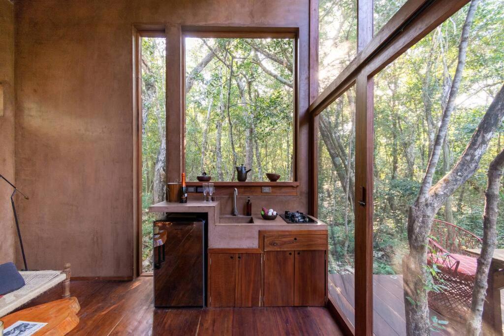 Ojo De Agua. Design+pool. Vive La Autentica Selva! * Tulum