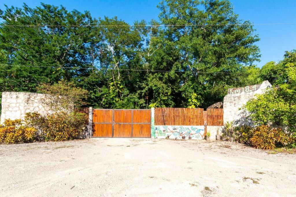 Ojo De Agua. Design+pool. Vive La Autentica Selva! Tulum