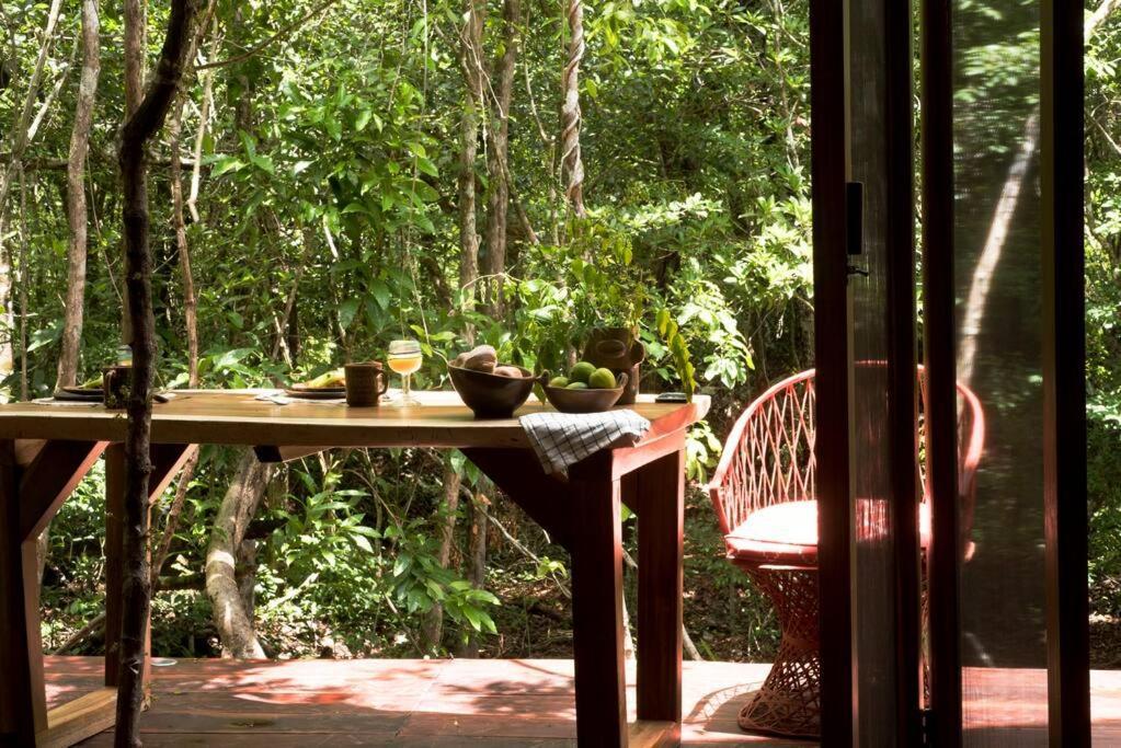 Ojo De Agua. Design+pool. Vive La Autentica Selva! Holiday home