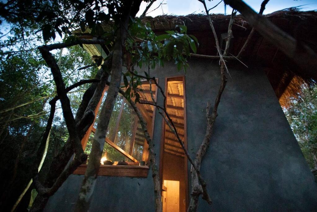 Ojo De Agua. Design+pool. Vive La Autentica Selva! Holiday home *