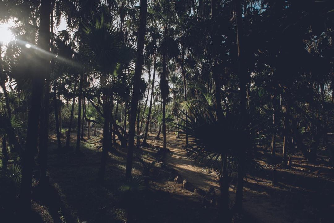 Destiny Front Luxury *