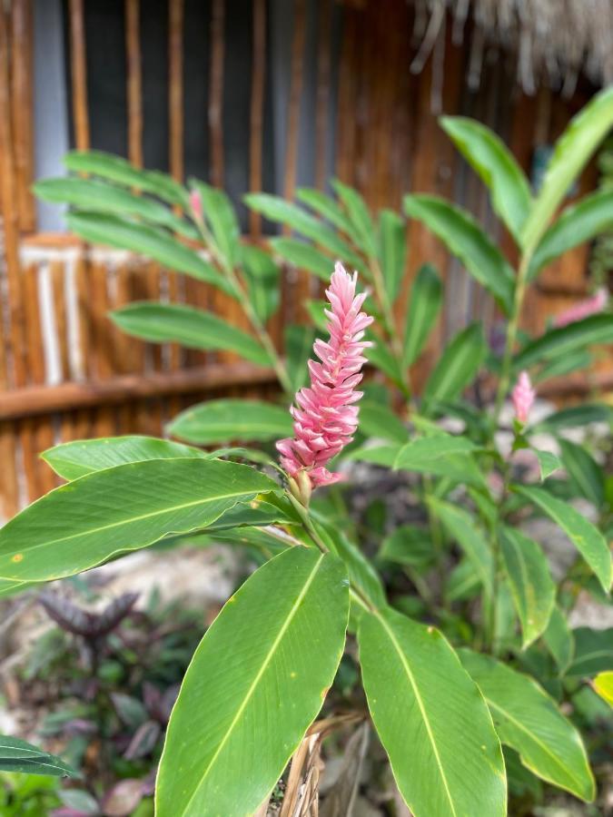 Aldea Yuyu Bed & Breakfast