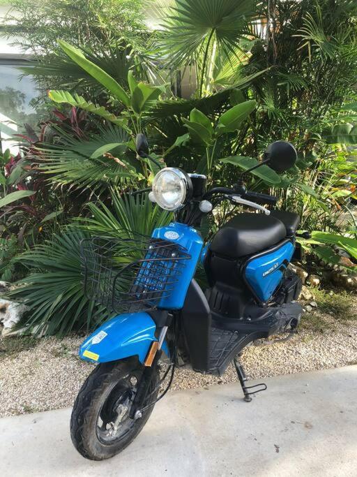 Apartment Mya Aldea Zama *