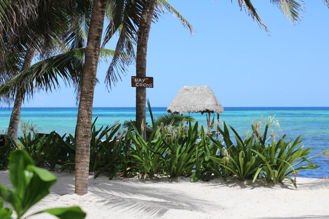 Casa Colibri Tankah 3*