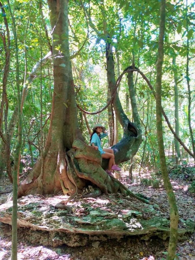 Guest house Mulut Tulum