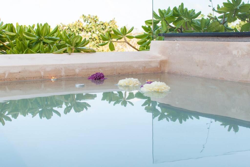 Spectacular Gaia/ph/private Pool