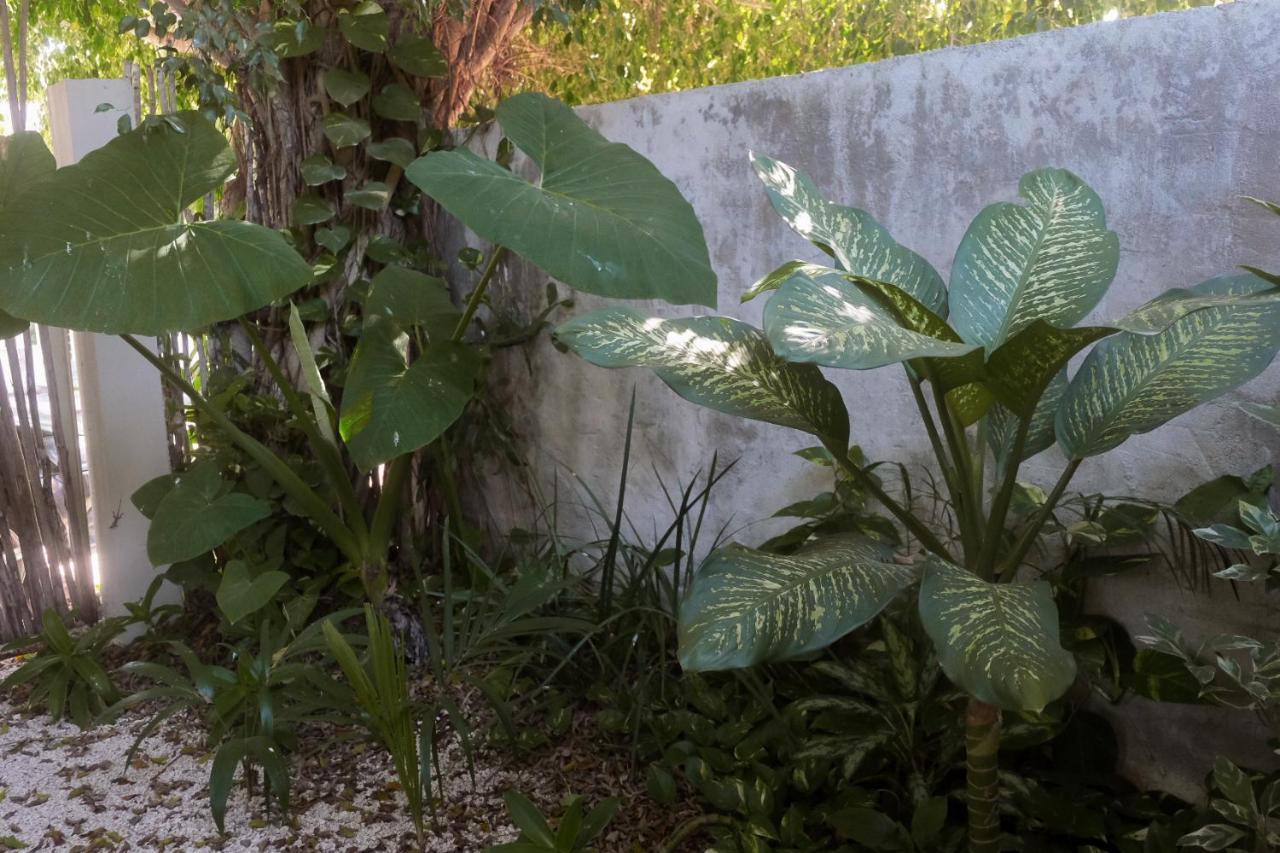 Wabi Sabi Garden By Amara Concepts. * Tulum