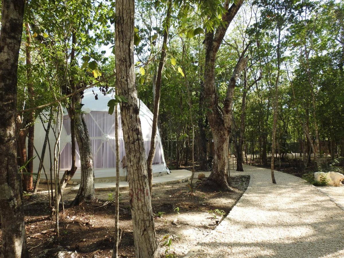 Luxury tent Glamping Mayan Glam Tulum