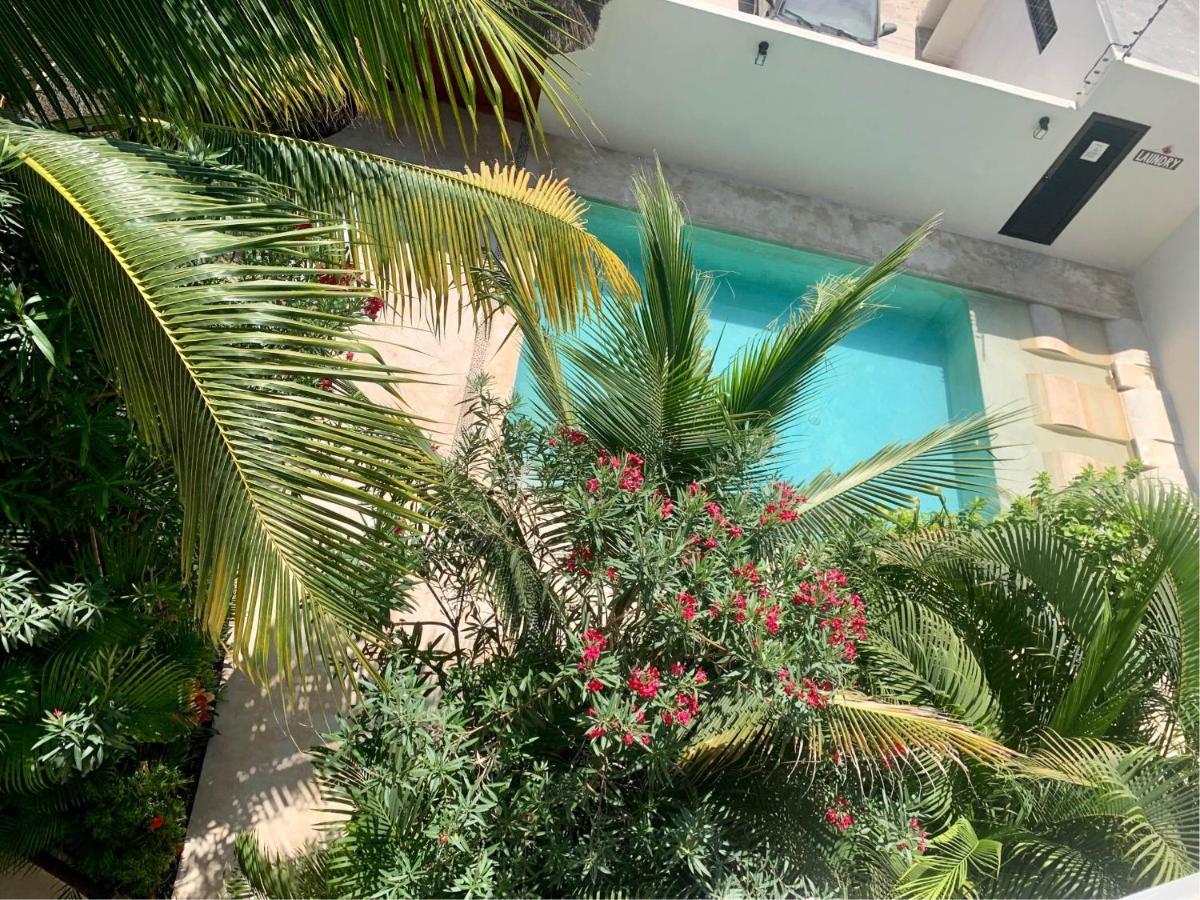 Tua Tulum Apartments Large Comfortable Pool Parking Space Apartamento