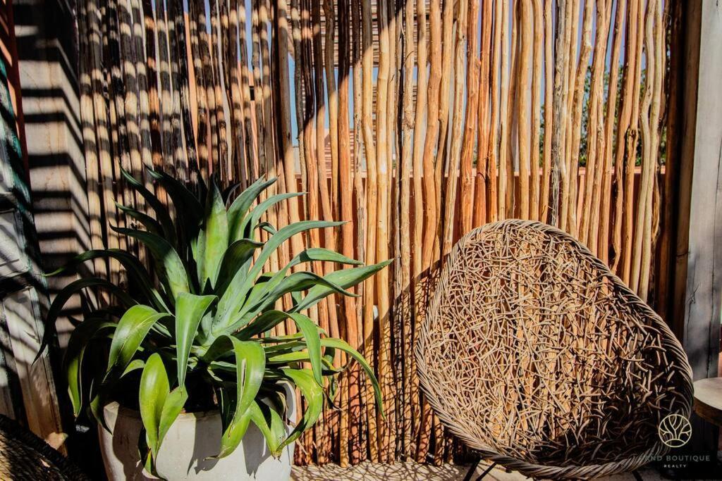 The Savia House - Rooftop & Gym Tulum