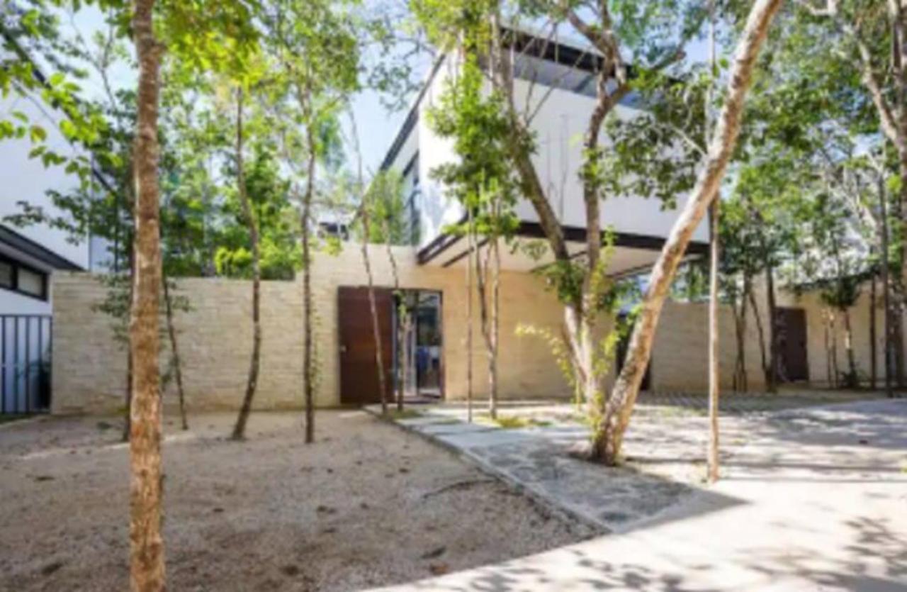 Hotel Wonderful Jungle In Mun With Private Pool Tulum