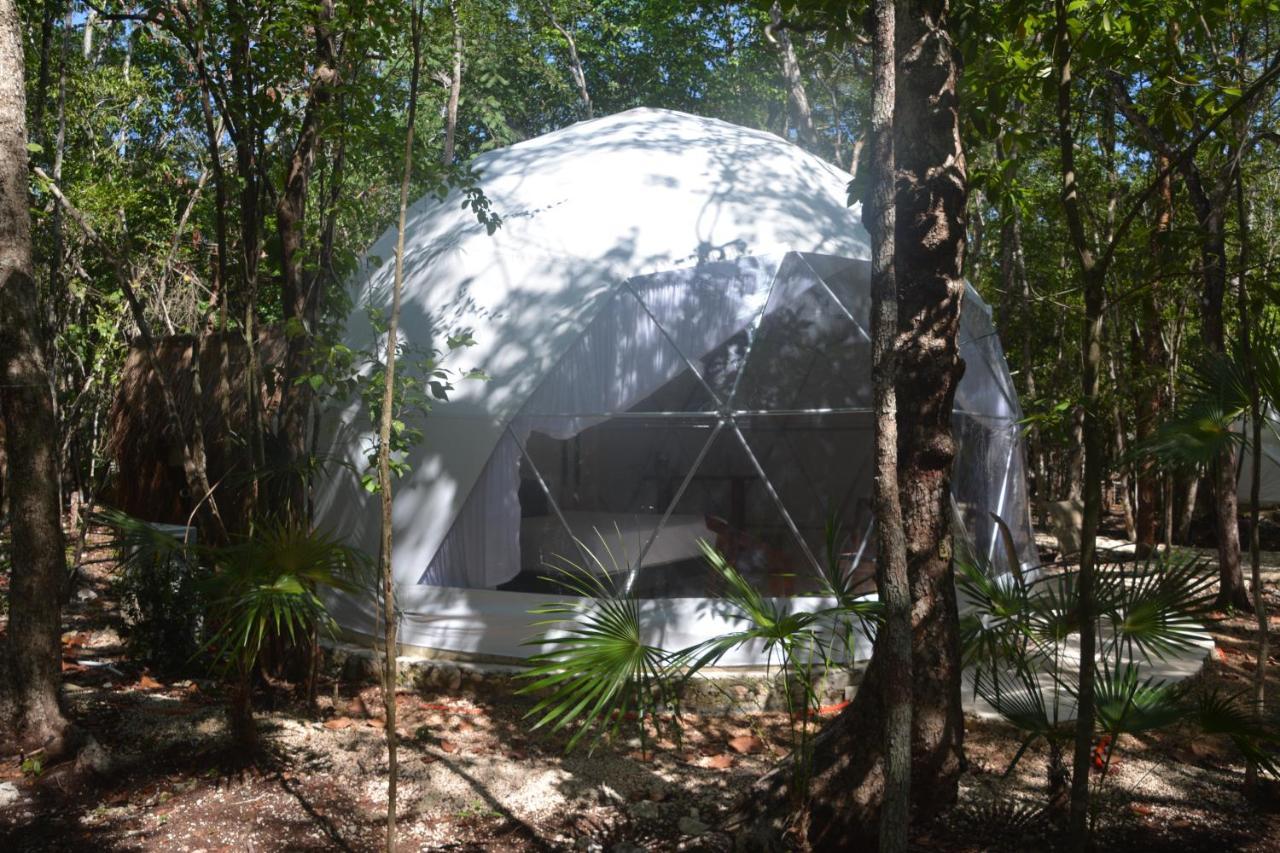 Glamping Mayan Glam *