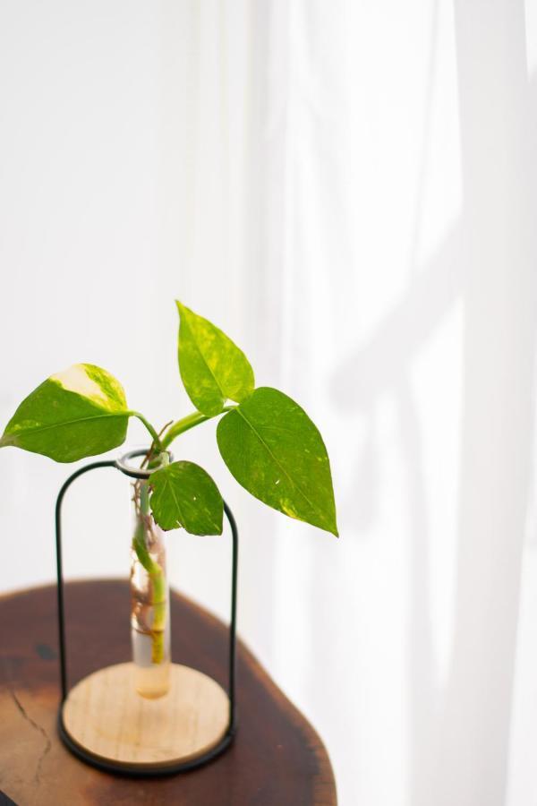 Aparthotel Studio Tulum