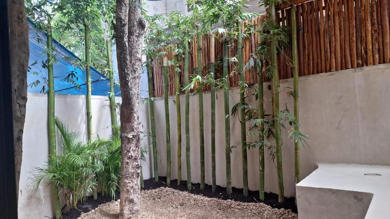 Paraiso Aldea Zama Apartment