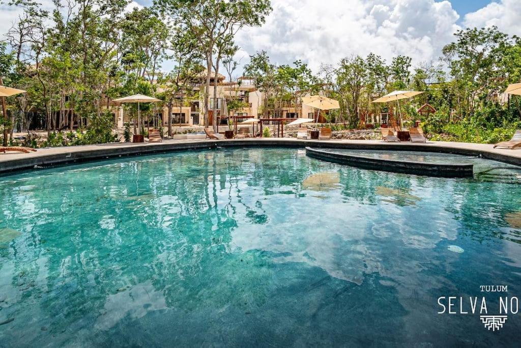 Apartment Private Rooftop Penthouse With Pool, Bbq & Jungle View