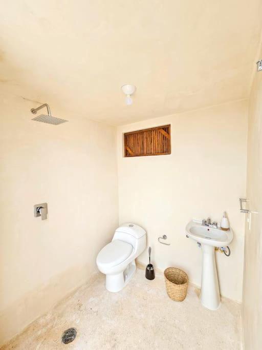 Apartment Private Rooftop Penthouse With Pool, Bbq & Jungle View