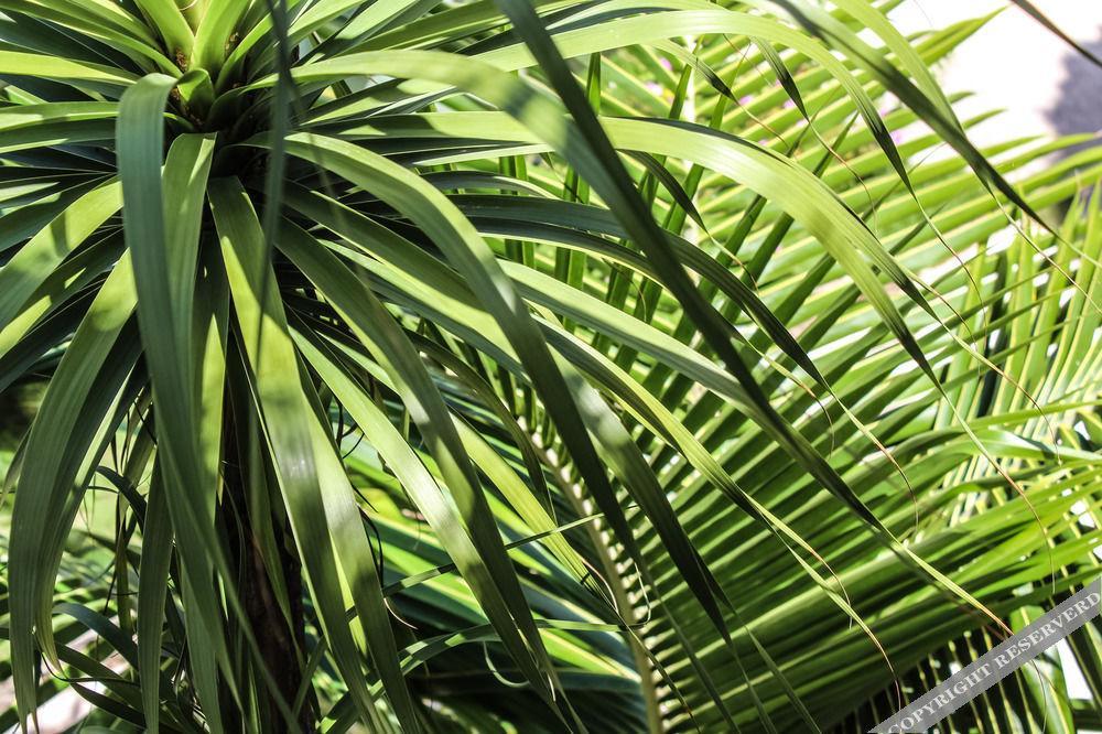 Howlita - Adult Only Hotel