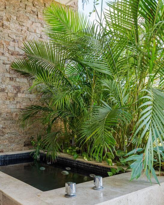Apartment And Relax In The Jungle Of 3001 Tulum