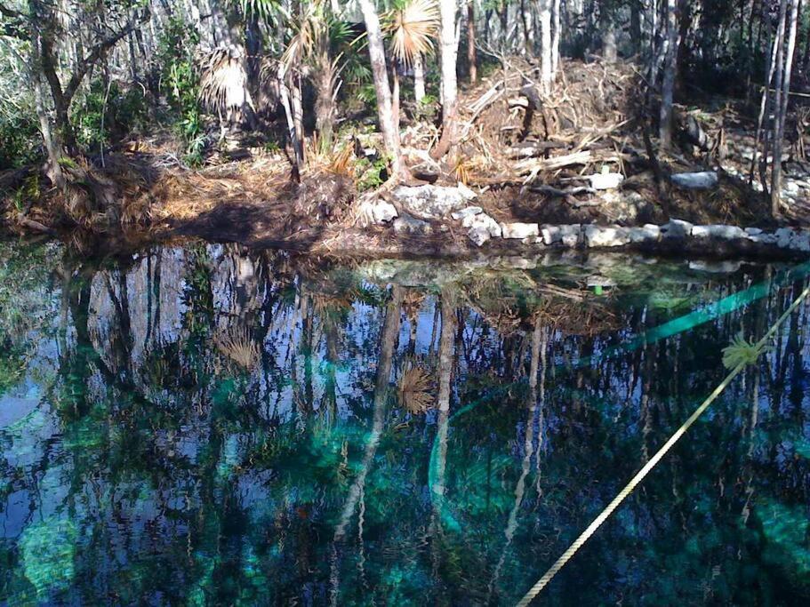 Exotic Eco House In Jungle With Private Cenote