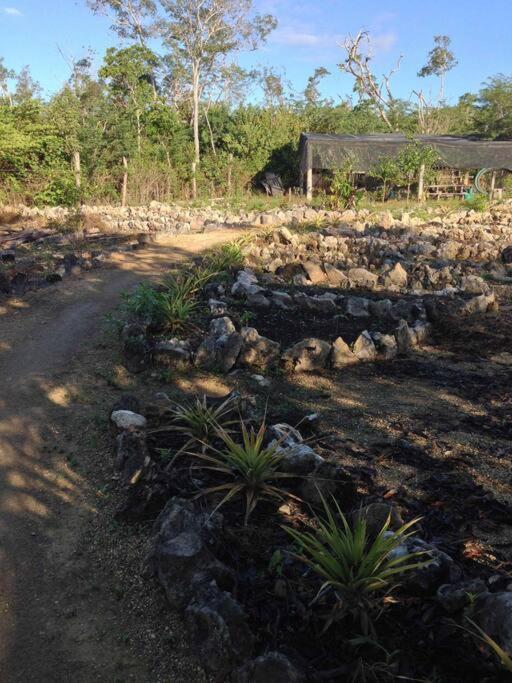 Сasa de vacaciones Exotic Eco House In Jungle With Private Cenote *