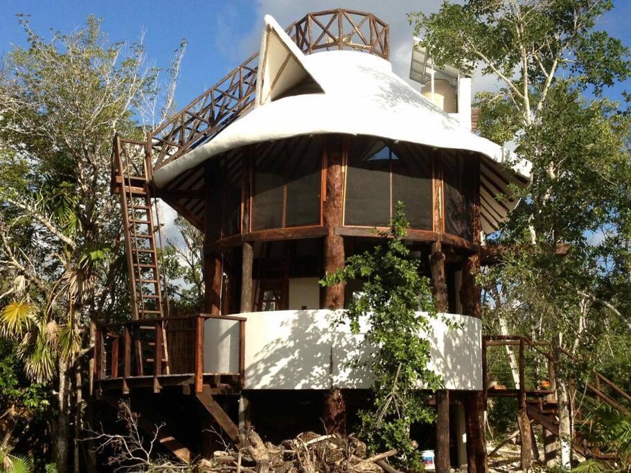 Exotic Eco House In Jungle With Private Cenote * Tulum