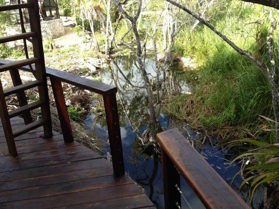 Сasa de vacaciones Exotic Eco House In Jungle With Private Cenote *