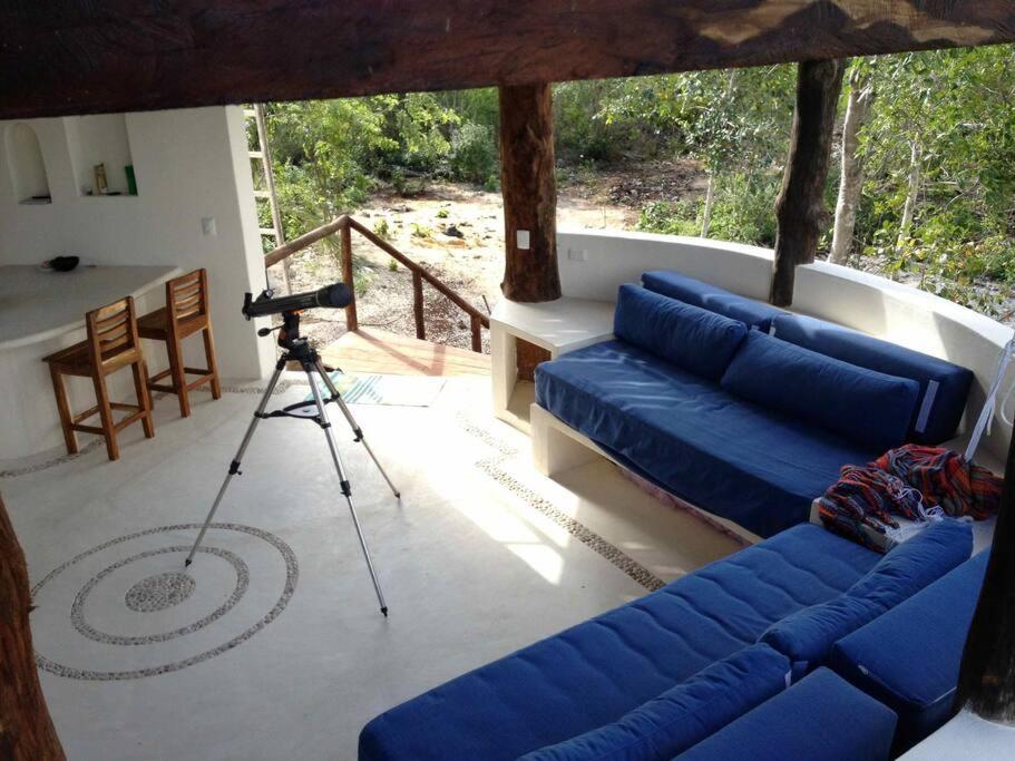 Exotic Eco House In Jungle With Private Cenote Tulum