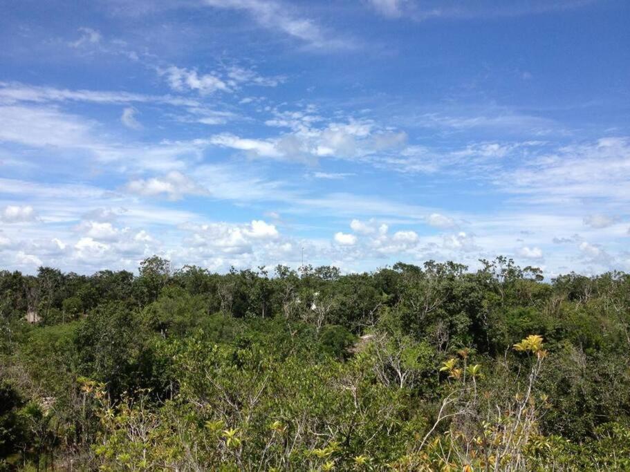 Exotic Eco House In Jungle With Private Cenote Tulum