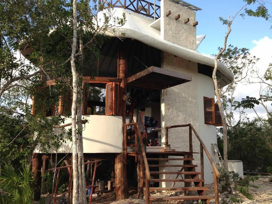 Exotic Eco House In Jungle With Private Cenote