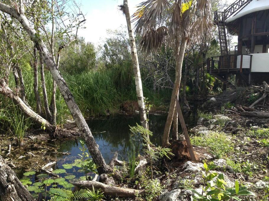 Exotic Eco House In Jungle With Private Cenote Holiday home