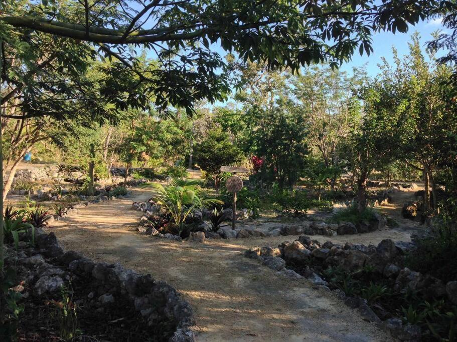 Сasa de vacaciones Exotic Eco House In Jungle With Private Cenote Tulum