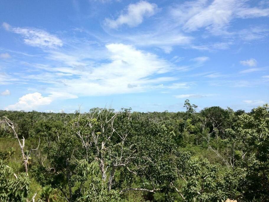 Сasa de vacaciones Exotic Eco House In Jungle With Private Cenote *