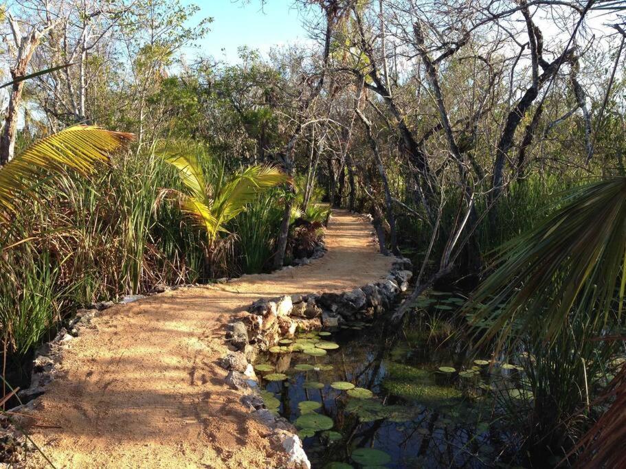 Exotic Eco House In Jungle With Private Cenote * Tulum