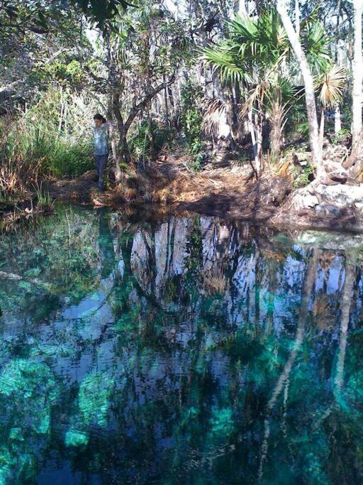 Сasa de vacaciones Exotic Eco House In Jungle With Private Cenote *