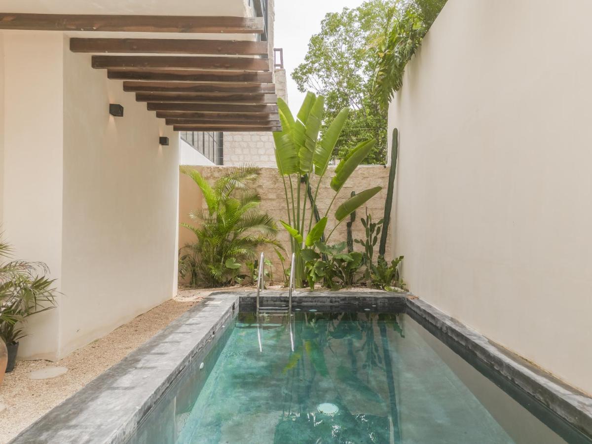 Сasa de vacaciones New Aura Jungle Getaway