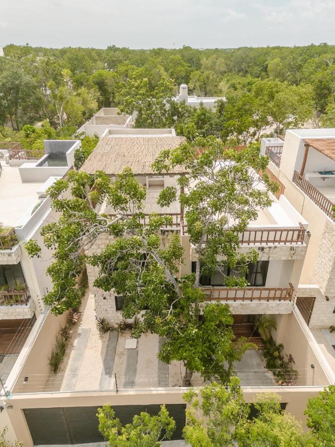 Holiday home New Aura Jungle Getaway *
